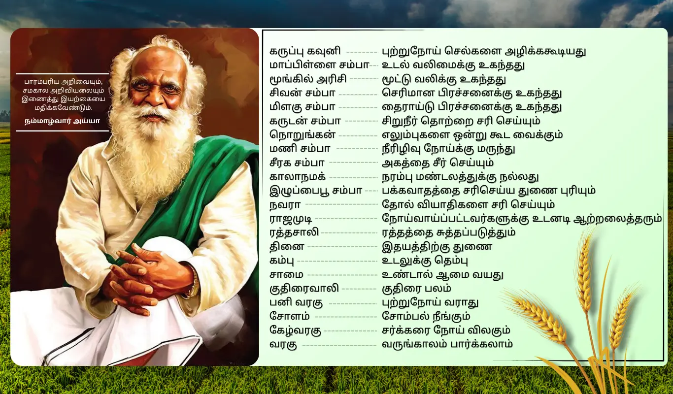 Bulk millets supply and packing - Sri Sathiam Mills